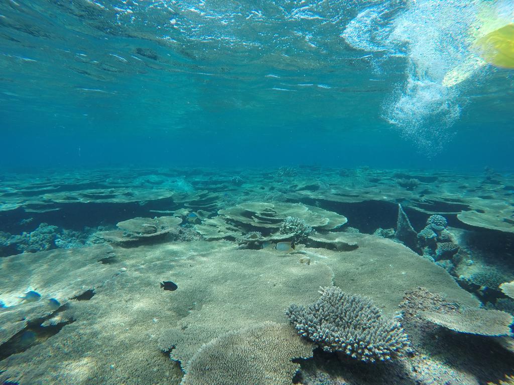 Holiday Haven Ukulhas Εξωτερικό φωτογραφία